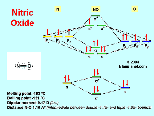 The Molecule of Nitric Oxide