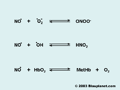 The Reactions of Nitric Oxide