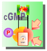 cGMP: Regulation