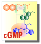 cGMP Tools